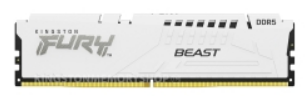 16GB 5600 DDR5 DIMM FURY Beast WHT EXPO
