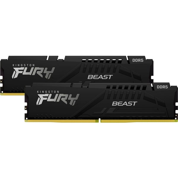 Beast 16 GB DDR5-5600 (2x 8 GB) werkgeheugen