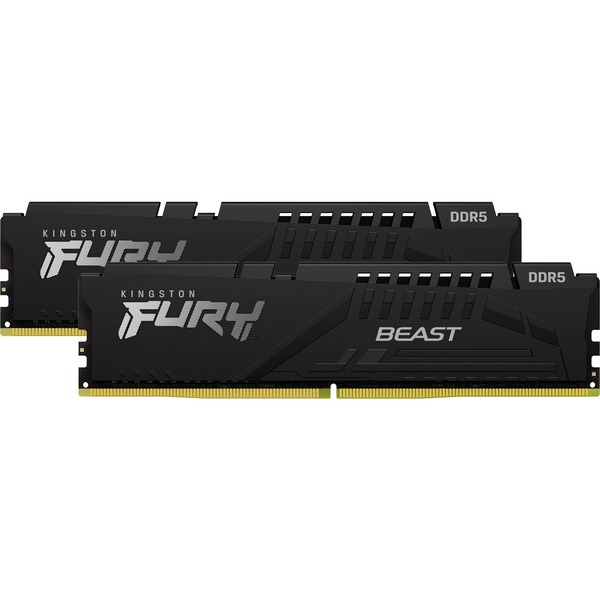 Beast 32 GB DDR5-5600 (2x 16 GB) werkgeheugen