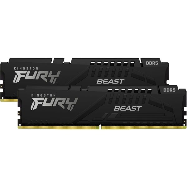 Beast 64 GB DDR5-5600 (2x 32 GB) werkgeheugen