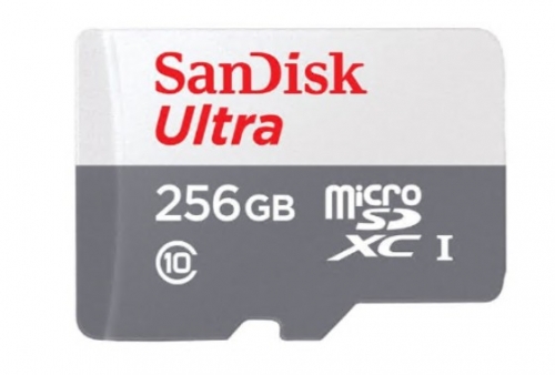 Cartão de memória flash 256 GB Class 10 microSDXC UHS-I SanDisk SDSQUNR-256G-GN6TA