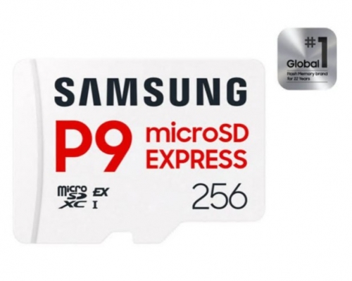 Cartão de memória flash 256 GB Samsung P9 Express MB-MK256T
