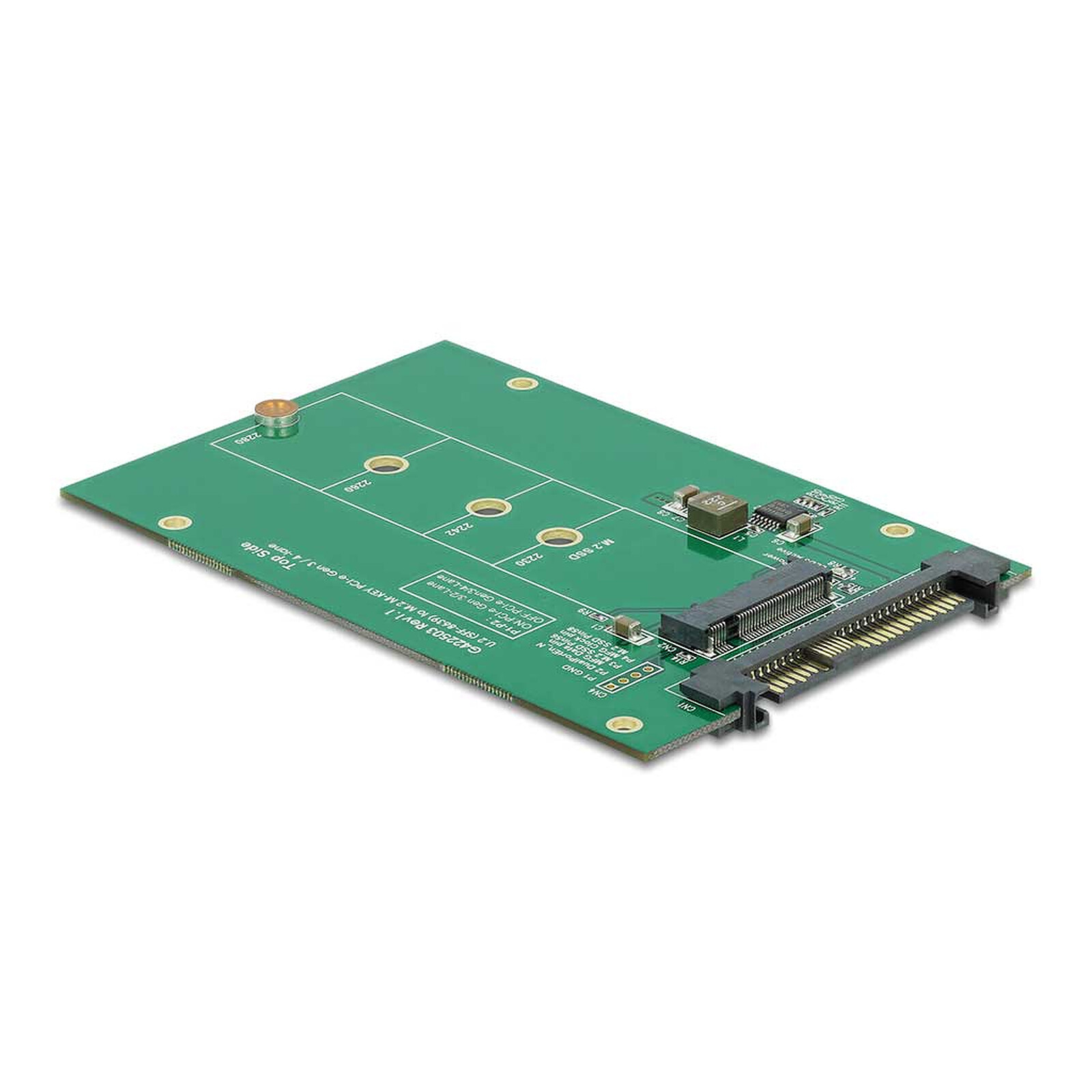 DeLock Convertisseur U.2 SFF-8639 à M.2 NVMe Clé M