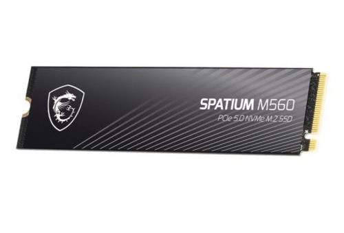 DISCO SSD MSI SSD M.2 PCIe 5.0 NVMe 2TB 10300R/8400W SPATIUM M560 , S78-440Q940-P83