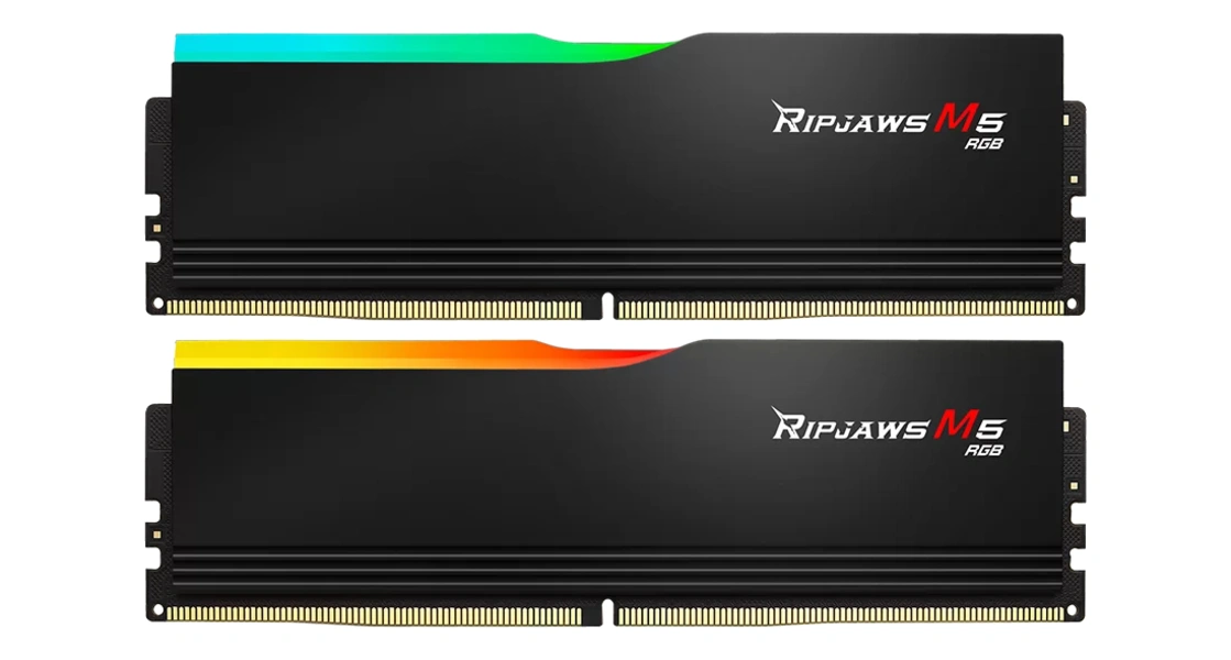 G.Skill Ripjaws M5 RGB 48 Go (2 x 24 Go) DDR5 5200 MHz CL40 - Noir