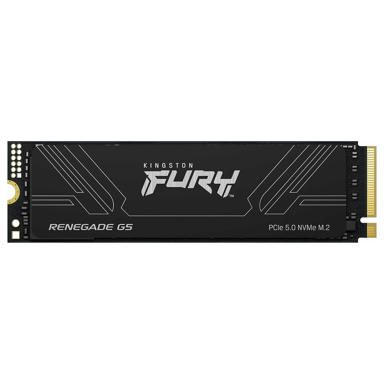 Kingston FURY Renegade G5 8 To