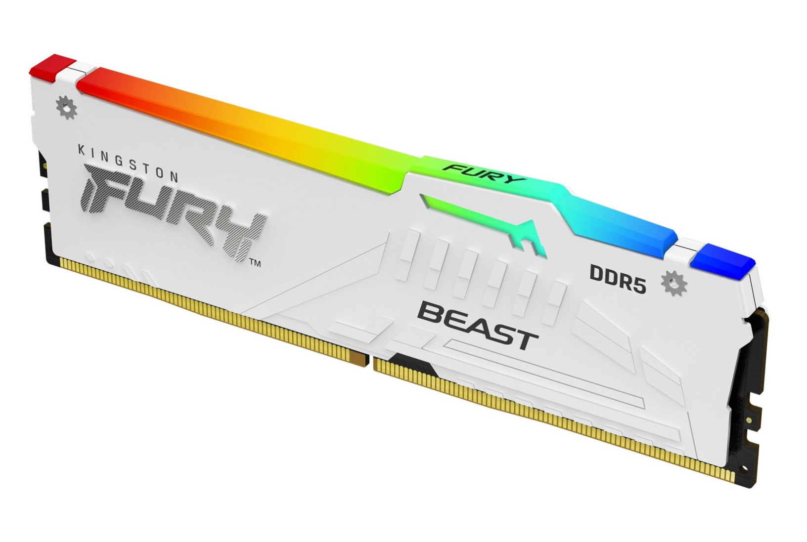 Kingston RAM FURY Beast - 32 GB - DDR5 6000 UDIMM CL36
