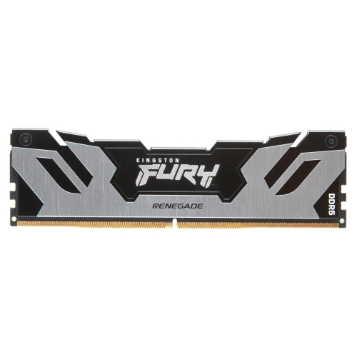 Memoria RAM Kingston FURY Renegade Silver 16GB DDR5 1.4V 6400MHz CL32 KF564C32RS-16