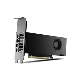 NVIDIA RTX 2000 Ada - 16GB GDDR6 RAM - Grafikkarte