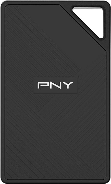 PNY RP60