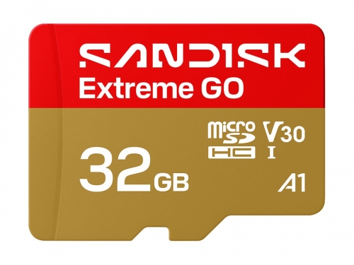 SanDisk Extreme Go - cartão de memória flash - 32 GB - microSDHC UHS-I | SDSQXGN-032G-GN6MN