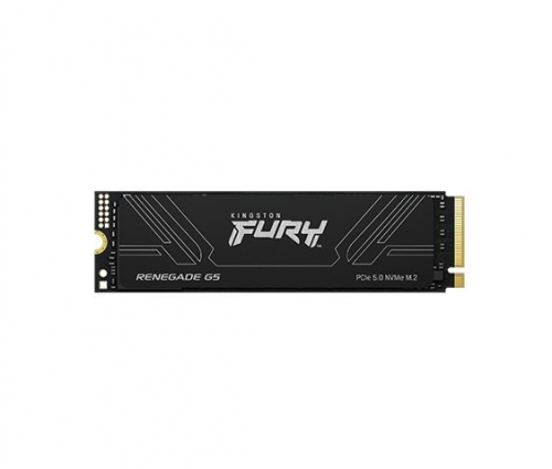 SSD FURY RENEGADE G5 PCIE M2 NVME 1024