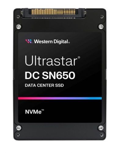 WD Ultrastar DC SN650 WUS5EA176ESP5E3 - SSD - 7.68 TB - interna - 2.5" - U.3 PCIe 4.0 (NVMe)